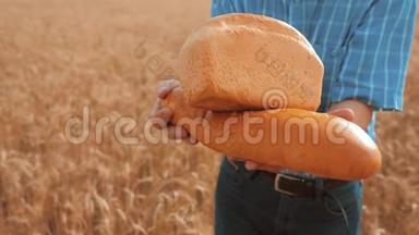老农夫面包师拿着一个金色的面包和面包在麦田对抗蓝天。 慢动作视频。 成功成功成功